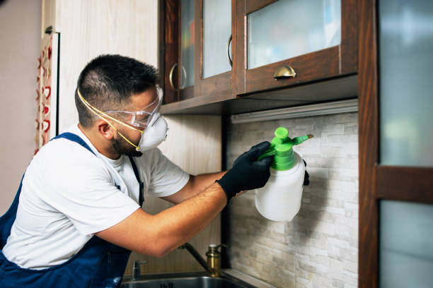 Best Best Pest Control Companies  in Steelville, MO