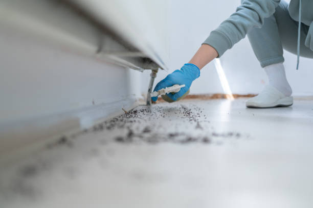 Best Mosquito Control Services  in Steelville, MO